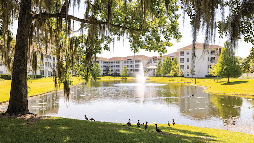 the village at gainesville assisted living